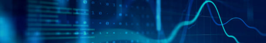 W020241120411901265521