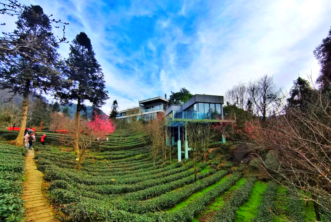 k8.com(中国区)官方网站